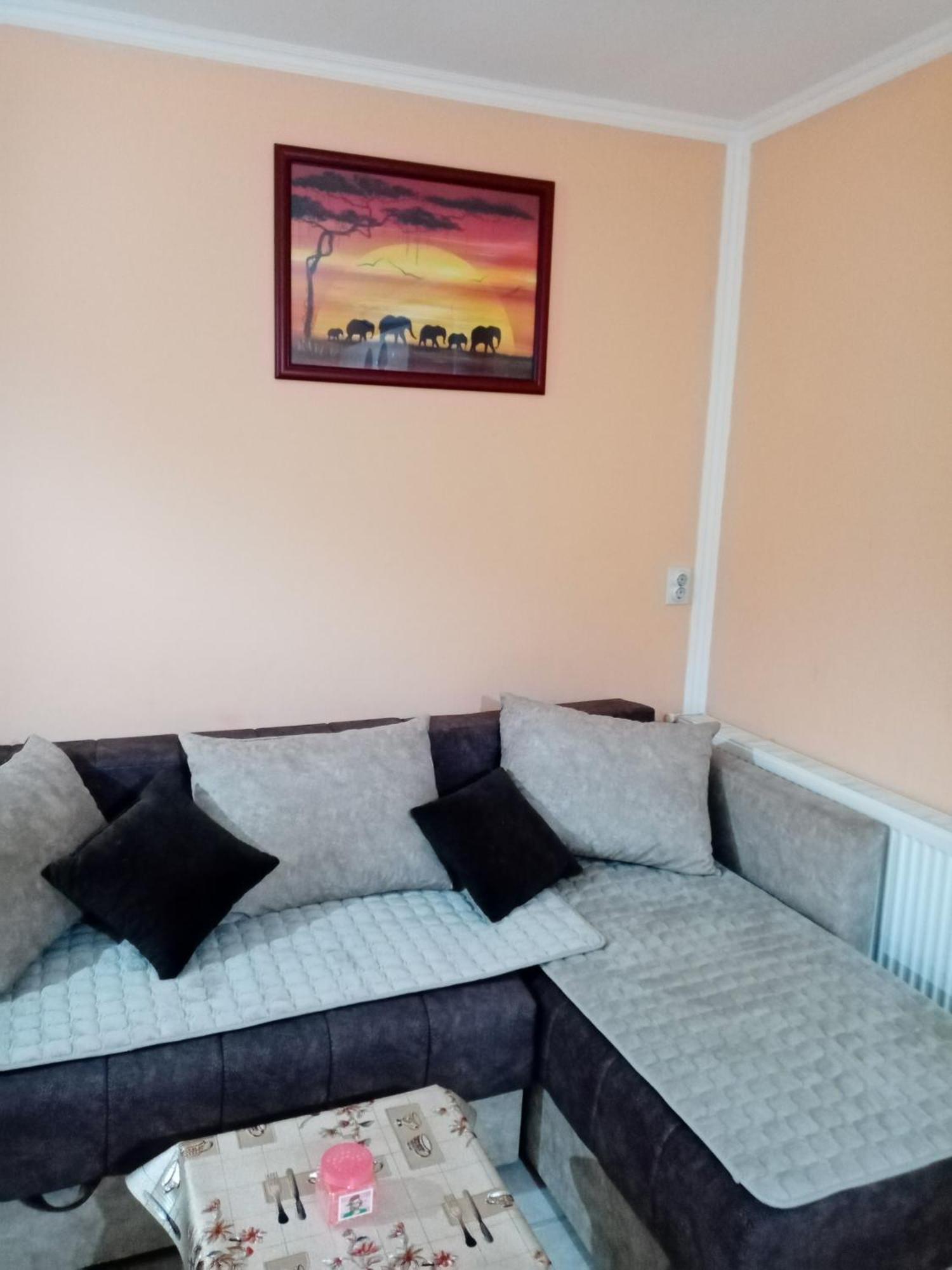 Milica Apartmani Vrdnik Eksteriør bilde