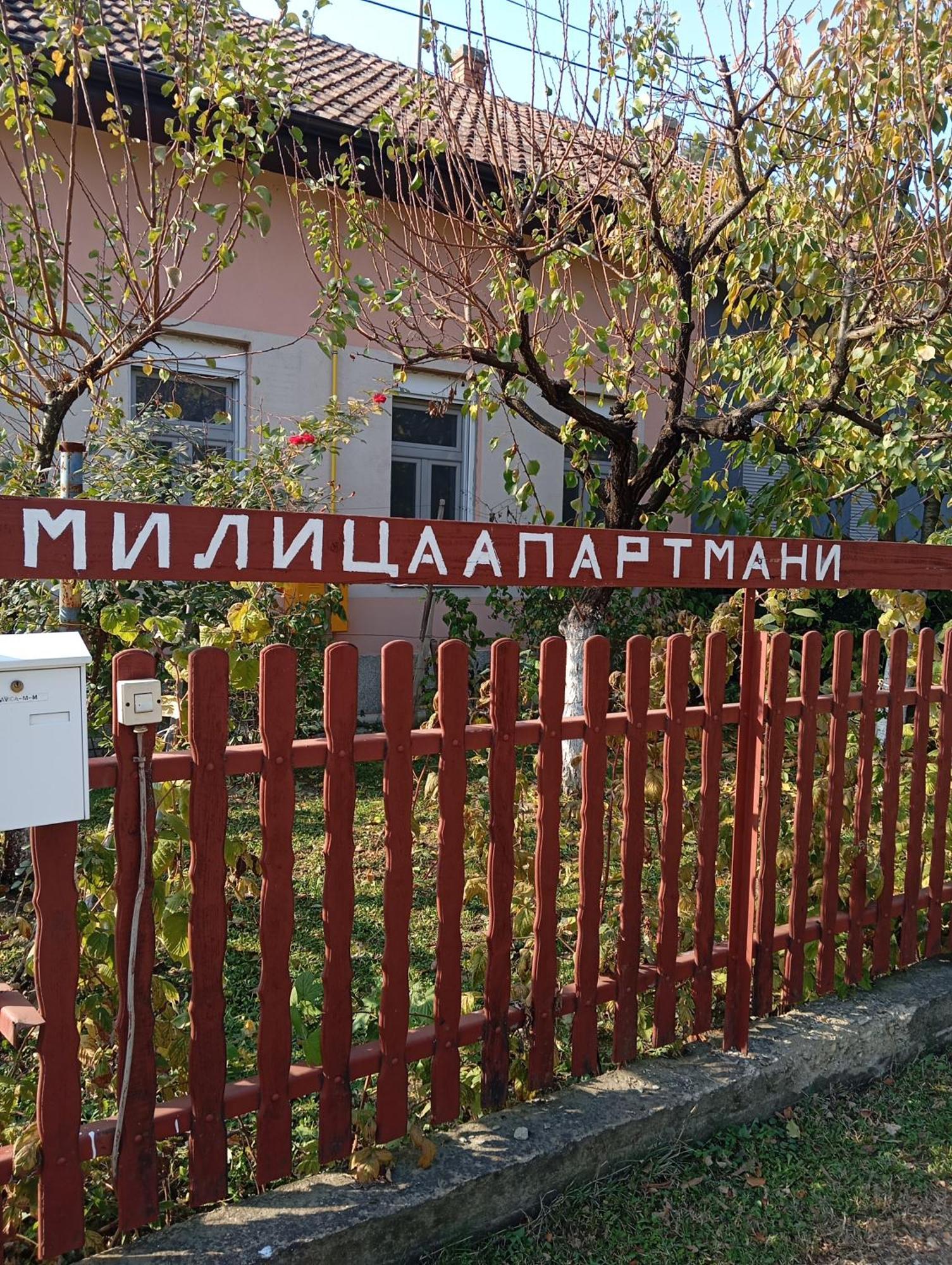 Milica Apartmani Vrdnik Eksteriør bilde